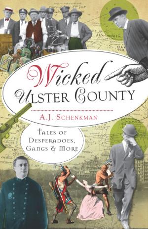 Cover of the book Wicked Ulster County by Carol L. Deibel, Kathi Santora