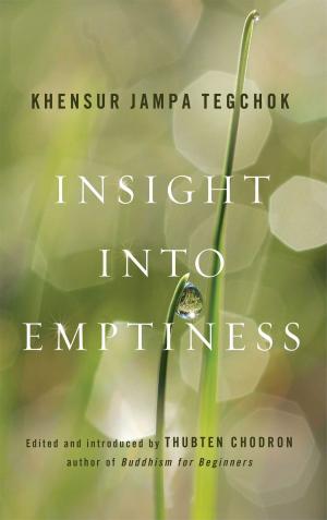 Cover of the book Insight into Emptiness by Arnie Kozak