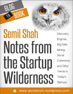 Cover of the book Notes from the Startup Wilderness: Discovery Engines, Big Data Mining, Social Commerce, and Other Trends in Today's Startups by Joan Benavent