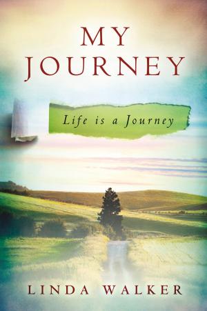 Cover of the book My Journey by Francis Chan