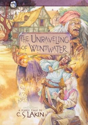 Cover of the book The Unraveling of Wentwater by Jane Hampton Cook