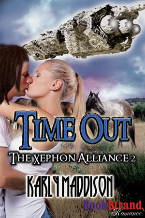 Cover of the book Time Out by Stormy Glenn
