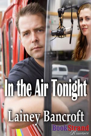 Book cover of In the Air Tonight