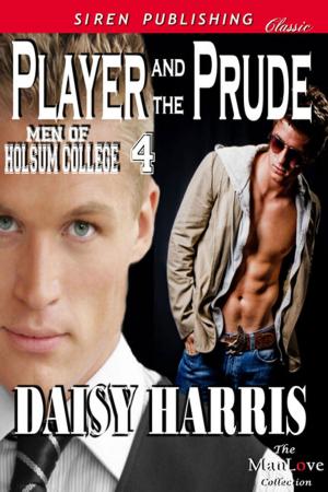 Cover of the book Player and the Prude by Lynn B. Davidson