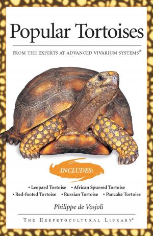 Cover of the book Popular Tortoises by F. Favorito