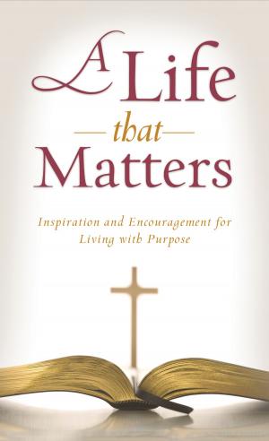 Cover of the book A Life That Matters by Wanda E. Brunstetter, Jean Brunstetter