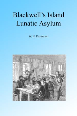 Cover of Blackwell's Island Lunatic Asylum
