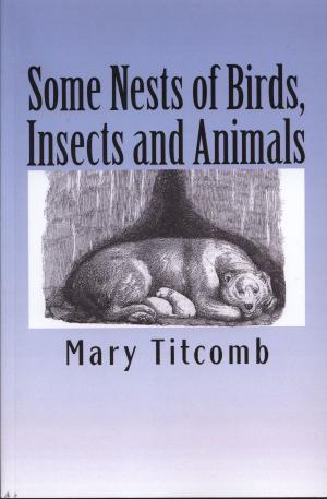 Cover of the book Some Nests of Birds, Insects and Animals by B Franklin, John Schooley