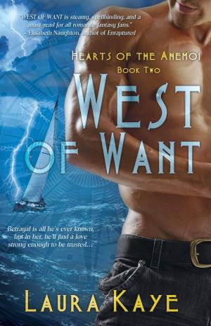 Cover of the book West of Want by Tiffany Truitt