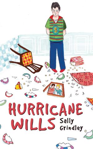 Cover of the book Hurricane Wills by Cerrie Burnell