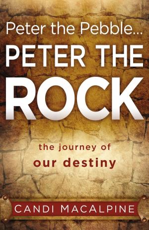 Cover of the book Peter the Pebble...Peter the Rock by Calvin King