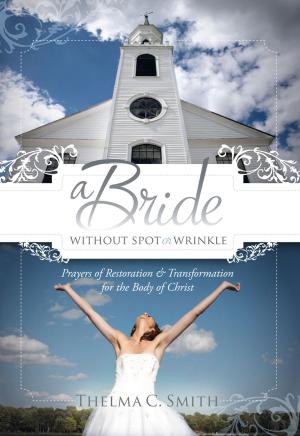 Cover of the book A Bride Without Spot or Wrinkle by Kimberly Daniels