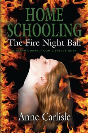 Book cover of HOME SCHOOLING: The Fire Night Ball