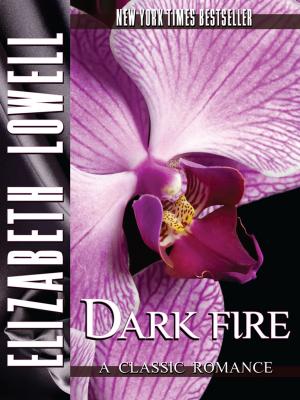 Cover of the book Dark Fire by Christina Li