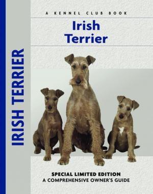 Cover of the book Irish Terrier by Nona Kilgore Bauer