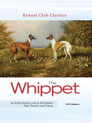 Book cover of The Whippet
