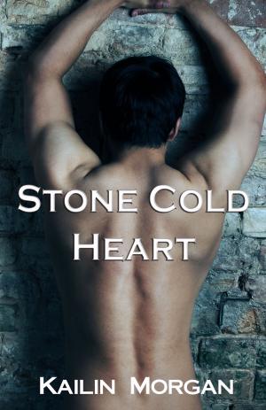 Cover of the book Stone Cold Heart by Jamie Freeman