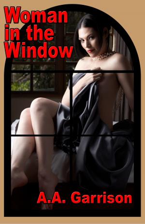 Cover of the book Woman in the Window by Lynn Kelling