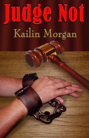 Cover of the book Judge Not by Lynn Kelling