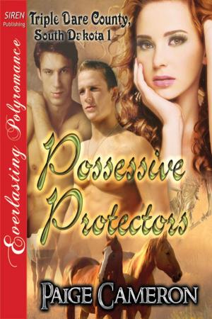 Book cover of Possessive Protectors