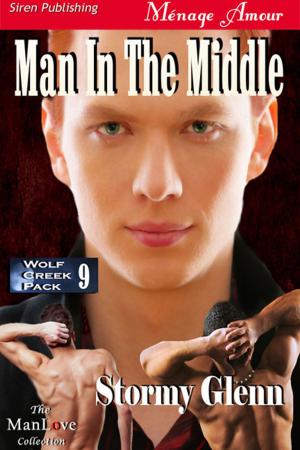 Cover of the book Man in the Middle by David Cooper