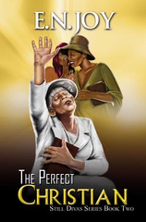 Cover of the book The Perfect Christian by Latrese N. Carter