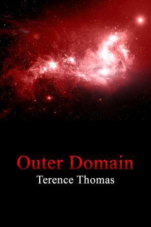 Cover of the book Outer Domain by Anya Lawrence