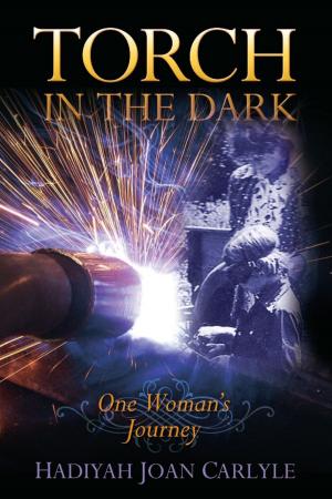 Cover of the book Torch in the Dark by Anthony Knight