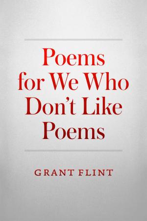 Cover of the book Poems For We Who Don't Like Poems by David Clinthorne