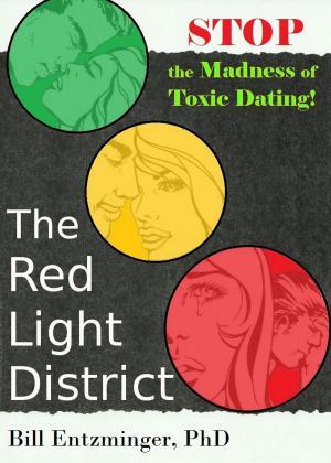 Cover of the book The Red Light District by Floyd E. Whitcomb