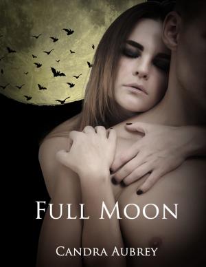 Cover of the book Full Moon by Gacy Harper