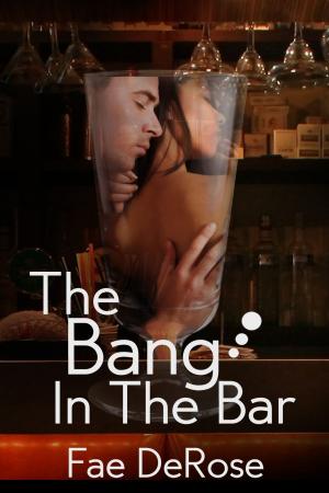 Cover of the book The Bang In The Bar by Farrah Seager