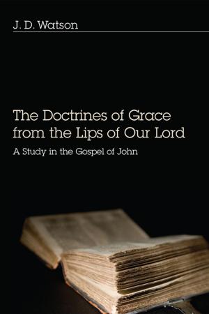 Cover of the book The Doctrines of Grace from the Lips of Our Lord by François Taillandier