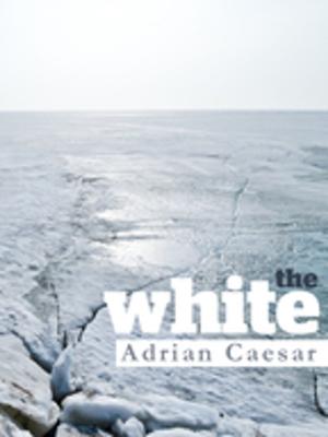 Cover of the book The White by John Marsden