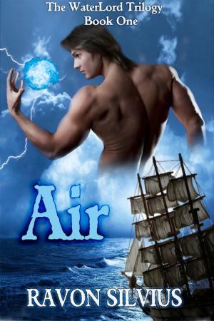 Cover of the book Air by Mary Tannen