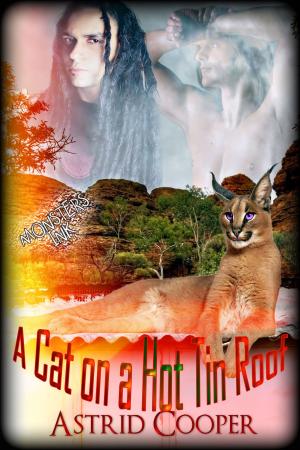 Cover of the book A Cat on a Hot Tin Roof by Seelie Kay
