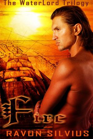 Cover of the book Fire by Susan K. Droney