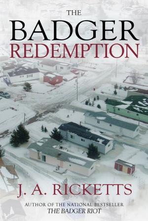 Cover of the book The Badger Redemption by Amanda McCabe