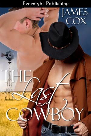 Cover of the book The Last Cowboy by Mary Abshire