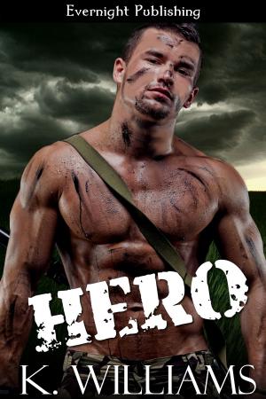 Cover of the book Hero by Allyson Young