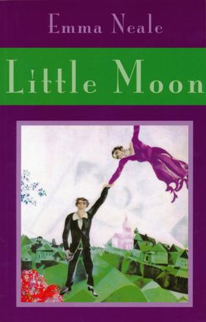 Cover of the book Little Moon by Paul Shannon