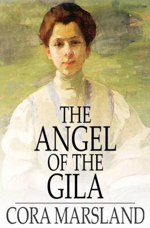 Cover of the book The Angel of the Gila by Paul W. Fairman