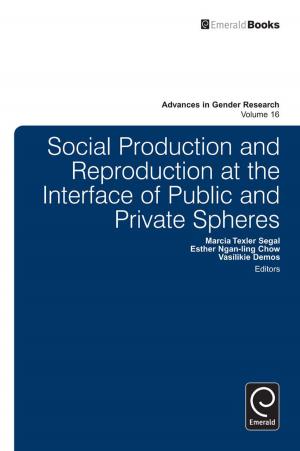Cover of the book Social Production and Reproduction at the Interface of Public and Private Spheres by Alain Verbeke, Rob van Tulder, Rian Drogendijk