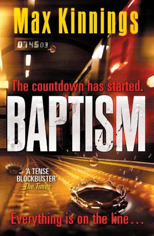 Cover of the book Baptism by David Hair