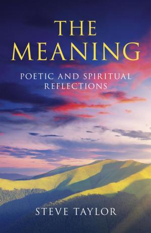 Cover of the book The Meaning by Shirley Laboucane