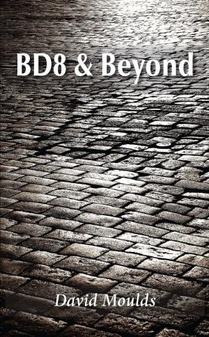 Cover of the book BD8 & Beyond by Paul Gait