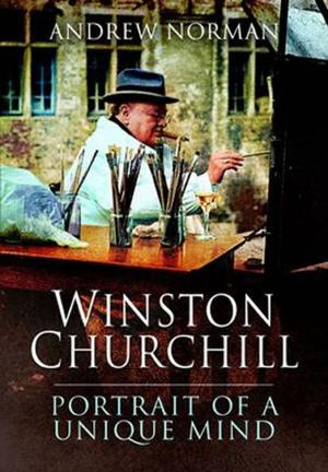 Cover of the book Winston Churchill by Steven Machat
