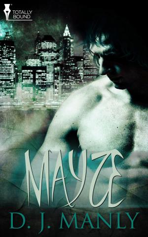 bigCover of the book Mayze by 