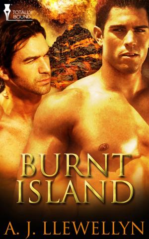 Cover of the book Burnt Island by E. Cameron Stacy