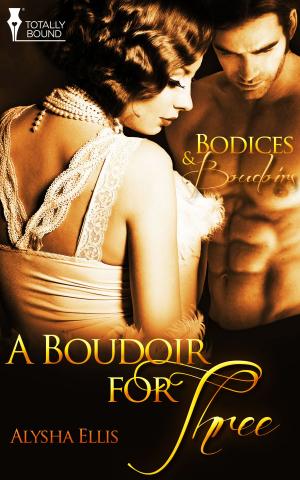 Cover of the book A Boudoir for Three by Lynn Lorenz